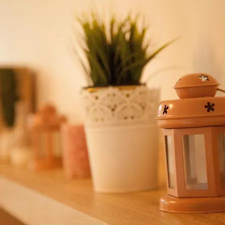 Διαμέρισμα Vas Raj