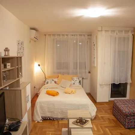 Vas Raj * Novi Sad
