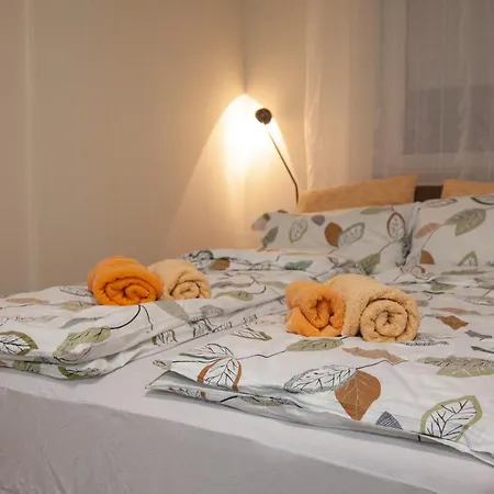 Vas Raj Διαμέρισμα Νόβι Σαντ