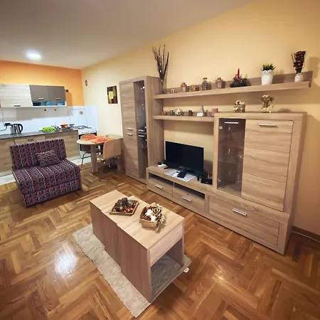 Vas Raj Apartment *