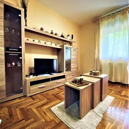 Vas Raj Apartment