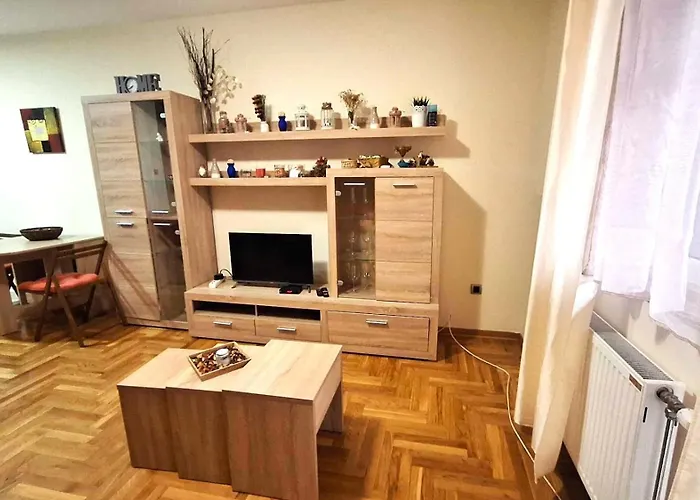 Vas Raj نوفي ساد