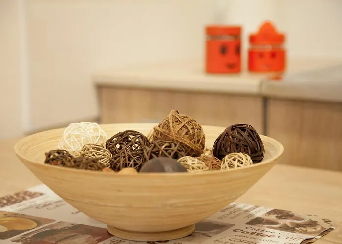 Vas Raj نوفي ساد