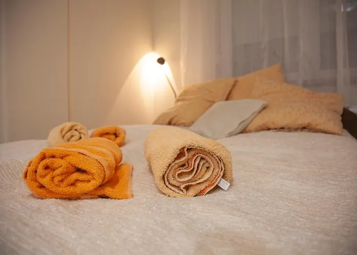 Vas Raj * نوفي ساد