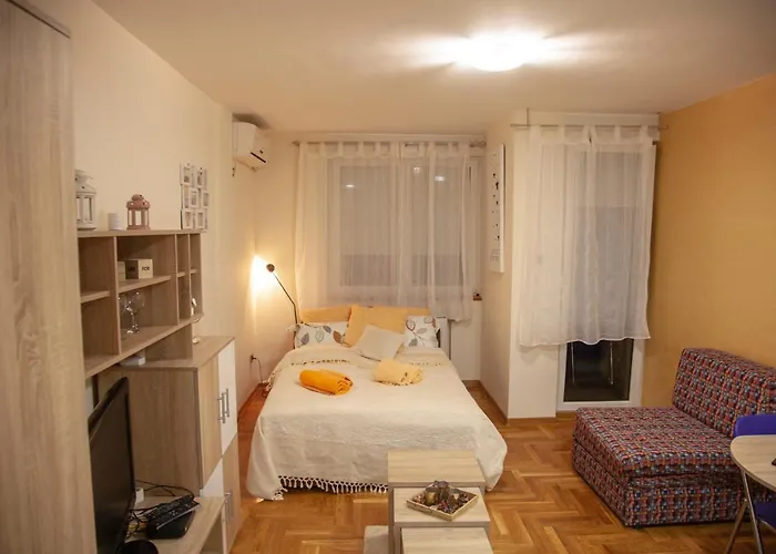 Vas Raj * نوفي ساد