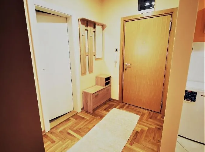 Vas Raj * نوفي ساد