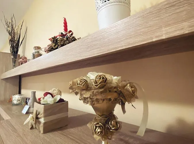 Vas Raj * نوفي ساد